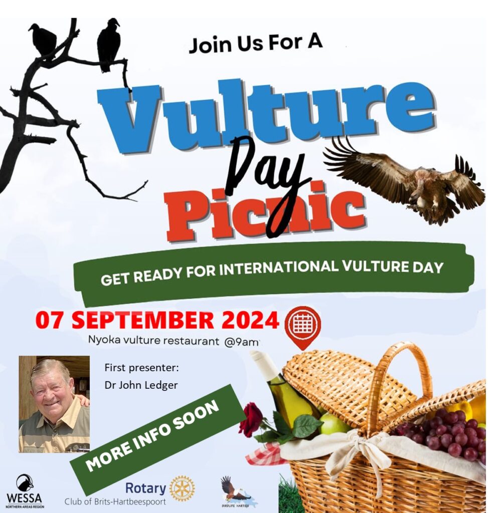 Picnic with Vultures at South Africa